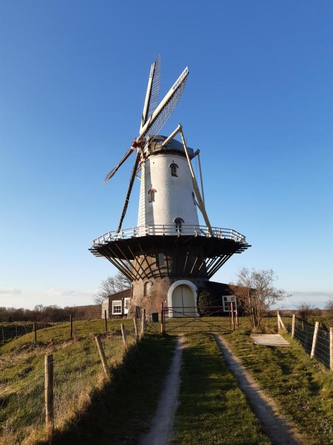 Studio Bourbon Veere Exteriör bild